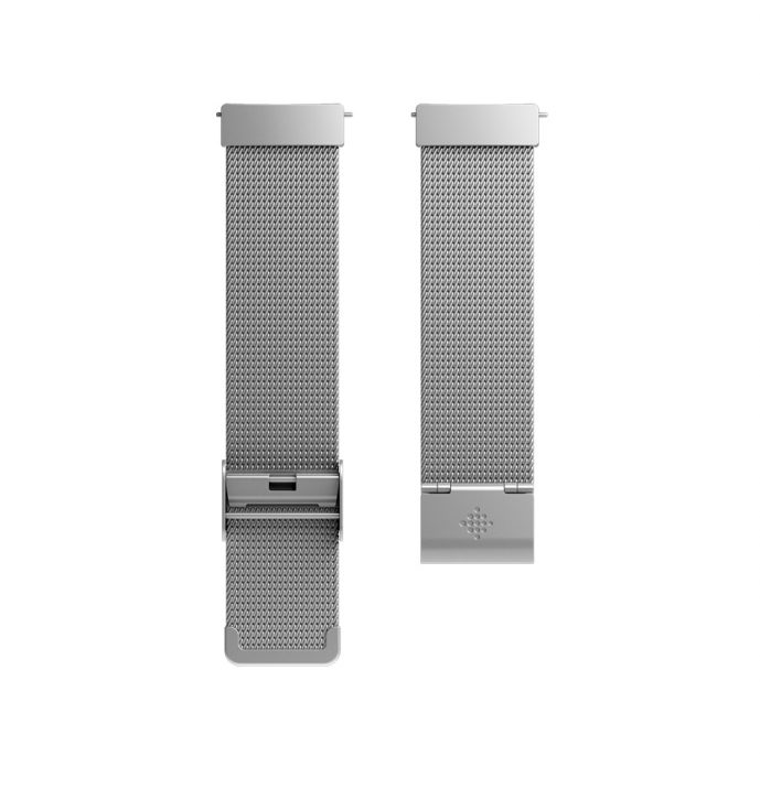 Fitbit Versa Stainless Steel Mesh Band